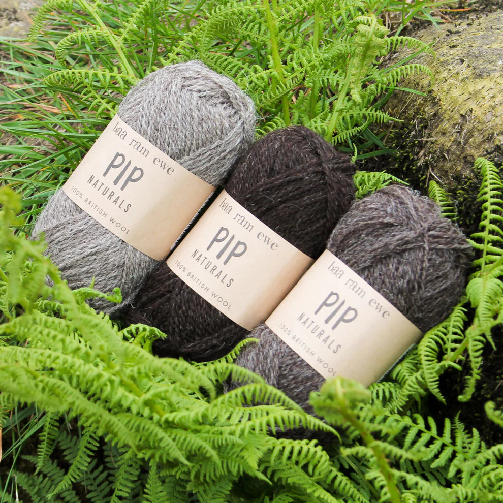 Baa Ram Ewe 4ply - 021 Malham (100% British Wool)