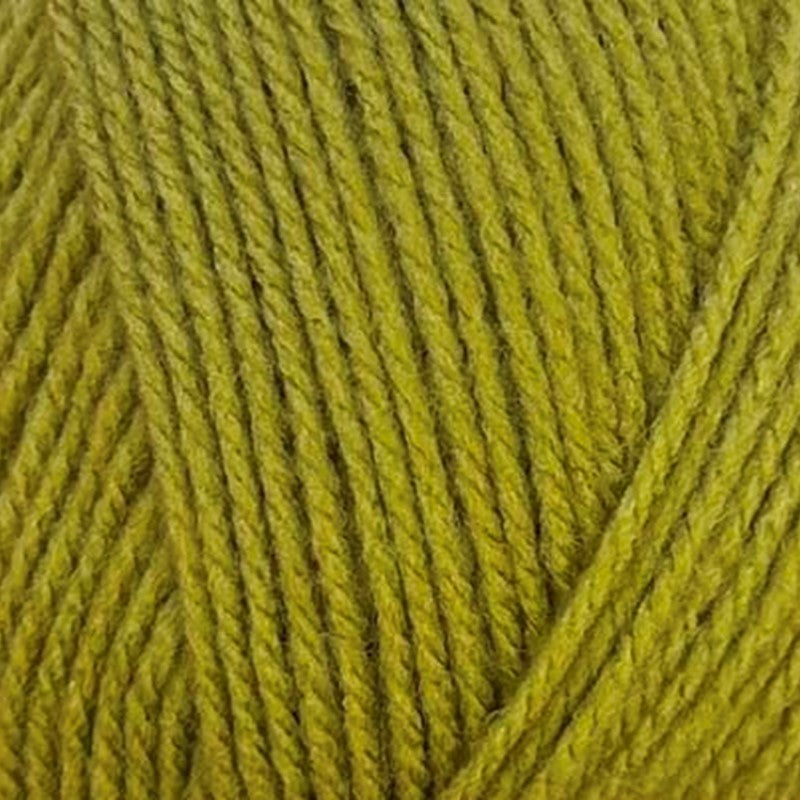 Stylecraft Special Double Knit - Mistletoe 2180