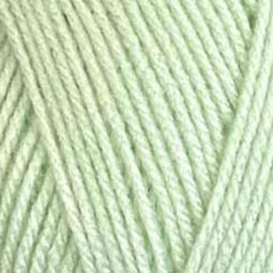 Stylecraft Special Double Knit - Tea Green  2189