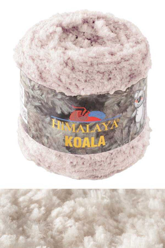 Himalaya Koala  - Off White