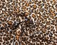 Cotton Leopard Print Cord -Natural