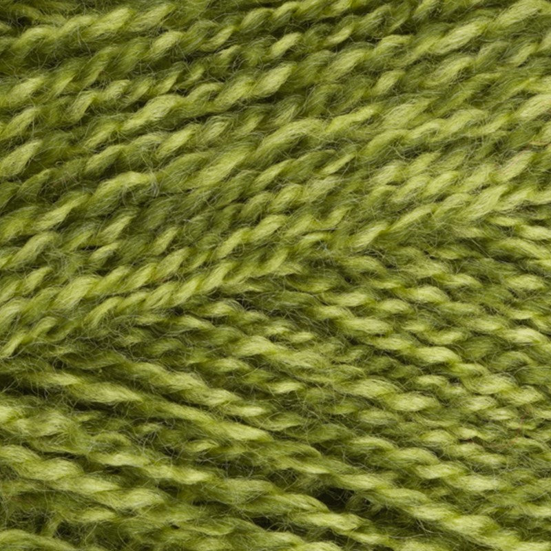 Stylecraft Special Double Knit - 1124 Greengage