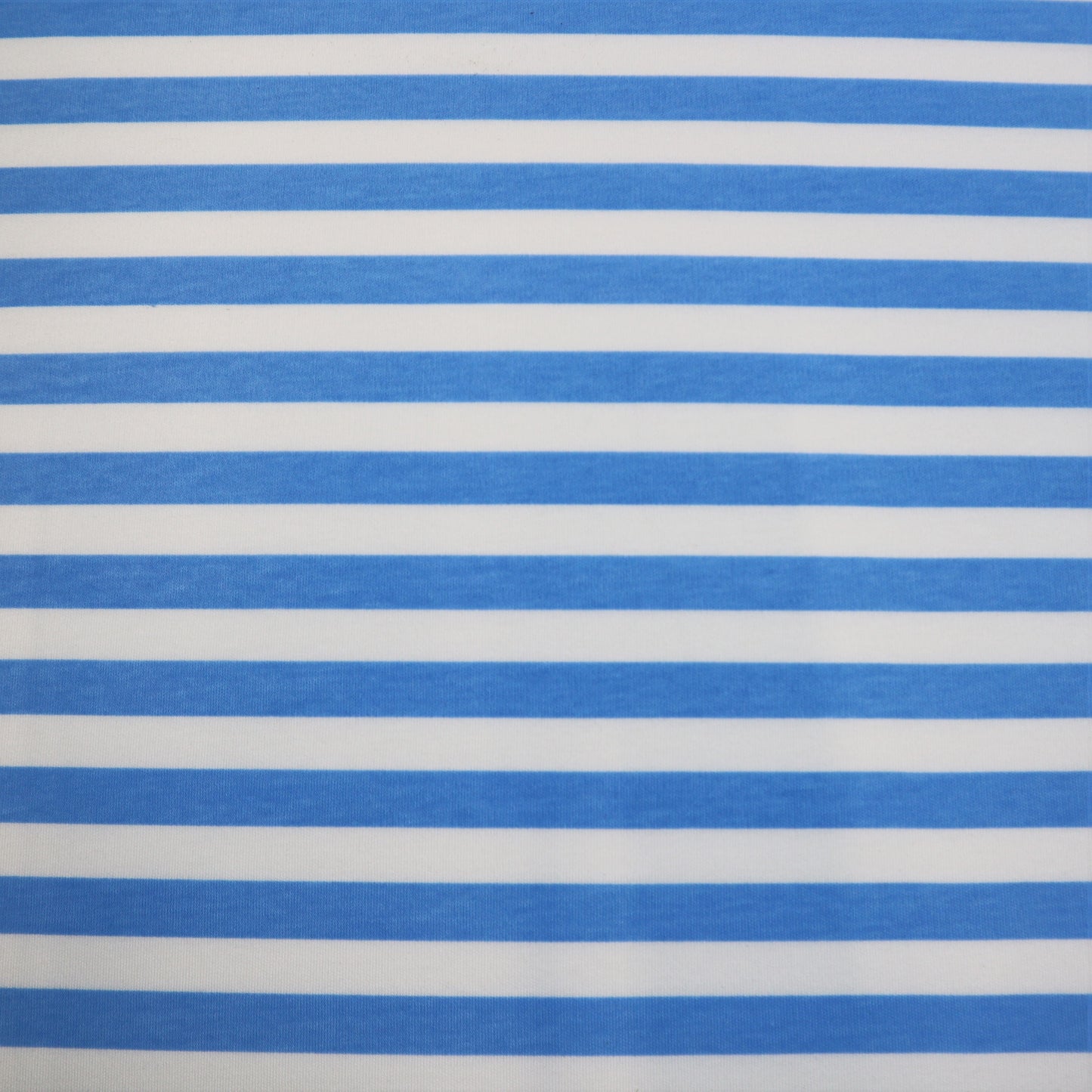 Cotton Jersey in Blue and White Thick Stripes