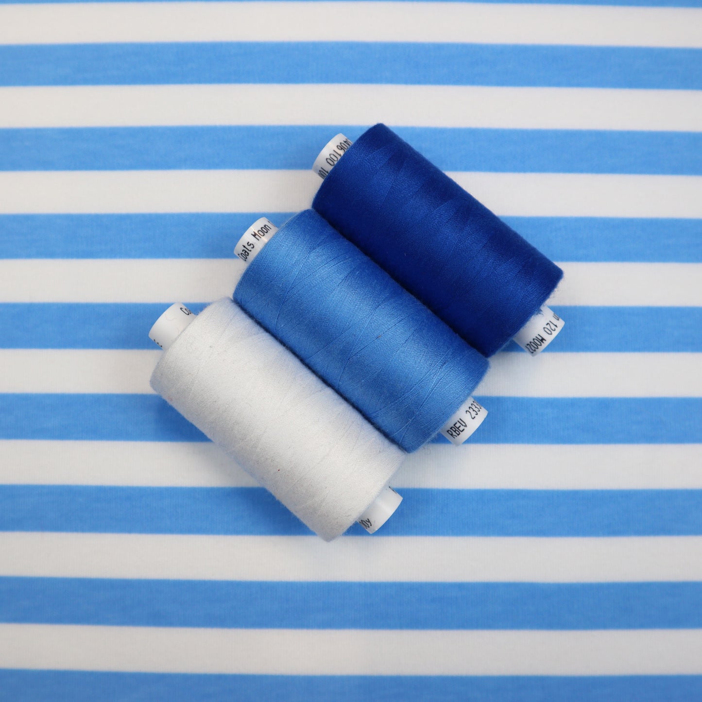 Cotton Jersey in Blue and White Thick Stripes