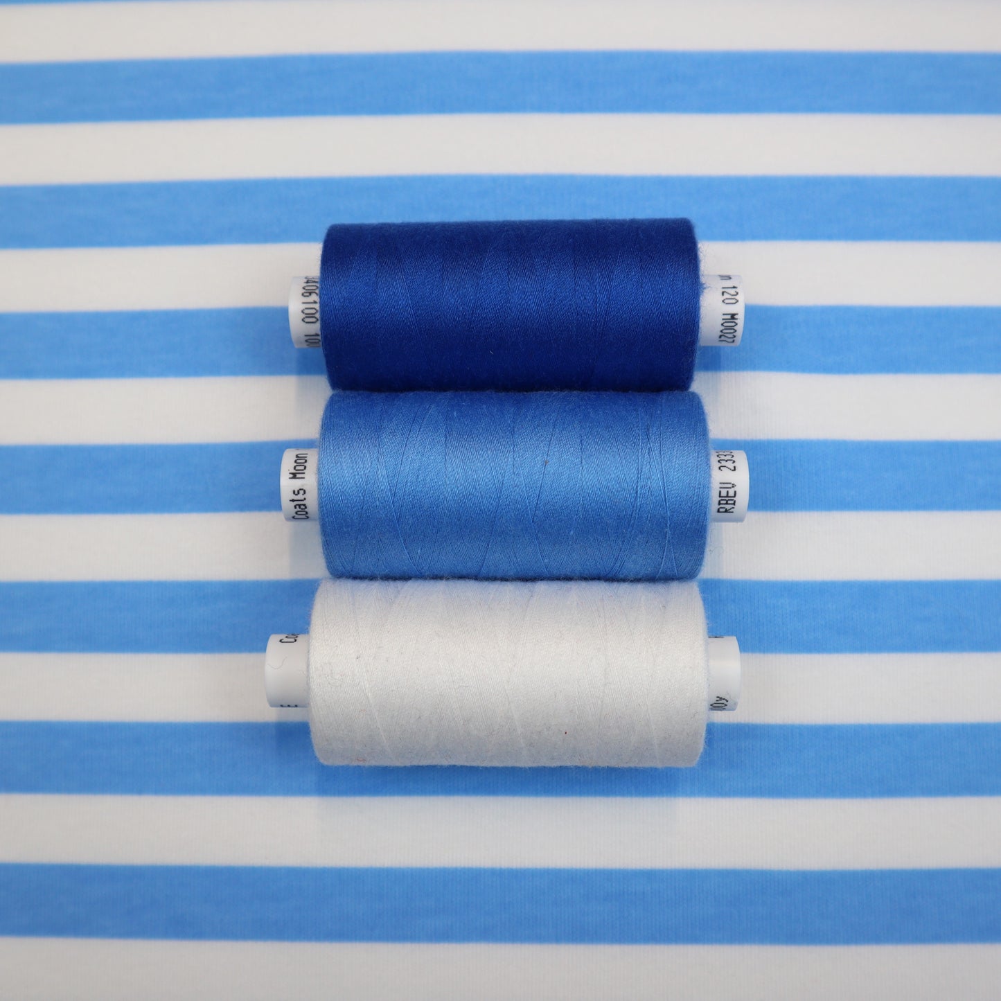 Cotton Jersey in Blue and White Thick Stripes