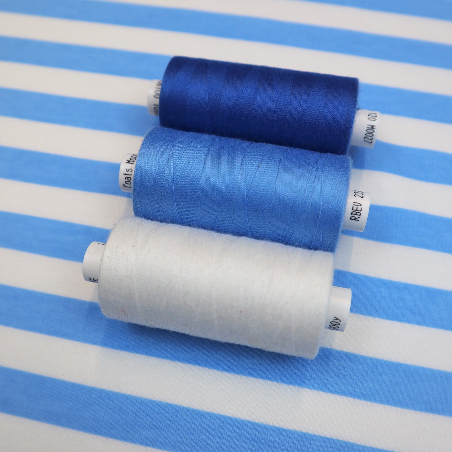 Cotton Jersey in Blue and White Thick Stripes