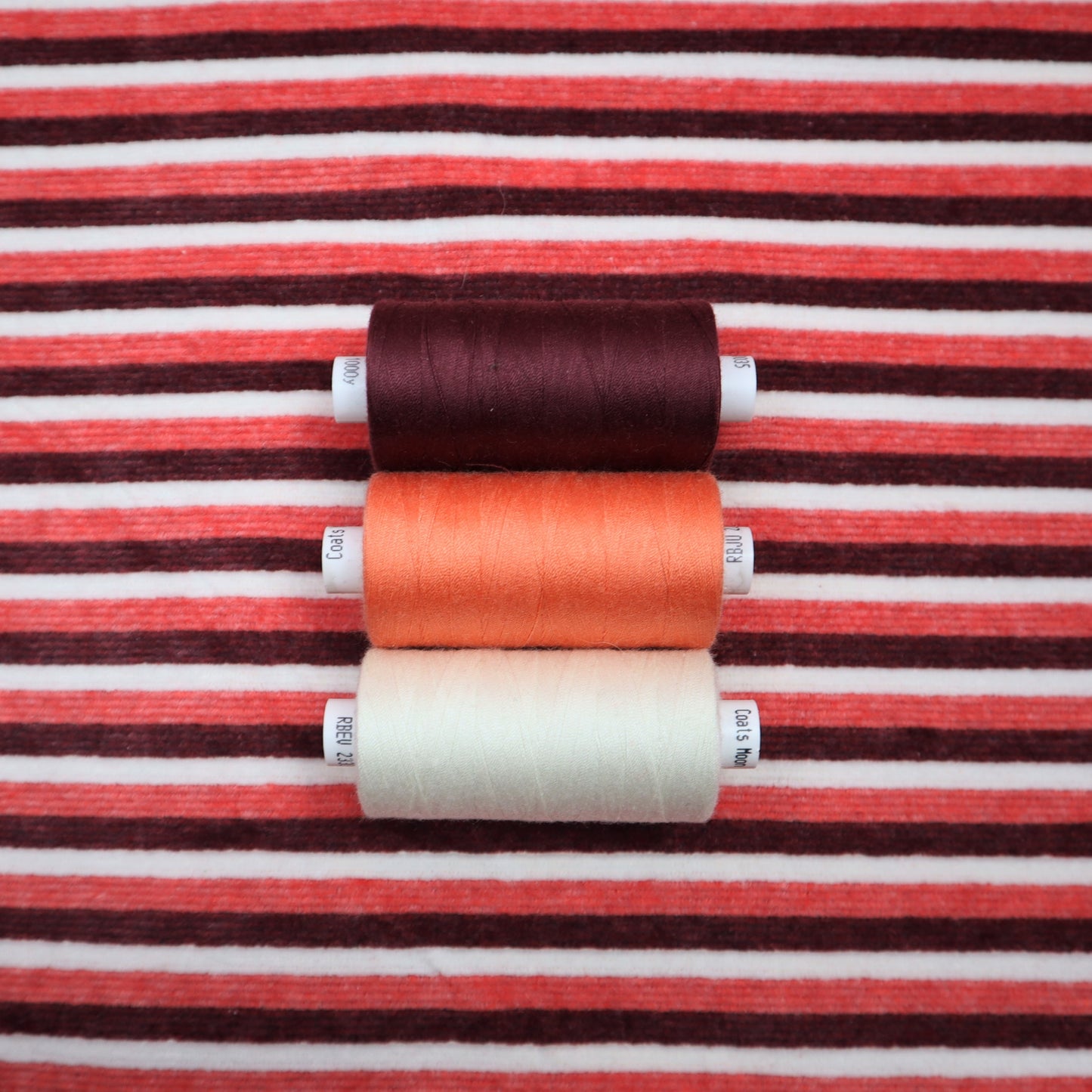 Cotton Cord Jersey in Peach Stripes