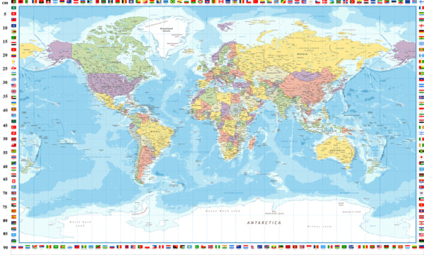 100% Cotton World Map Panel
